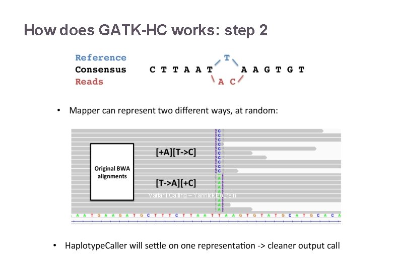 How does GATK-HC works: step 2 22/11/2016 Variant Calling – Yannick Boursin 20 