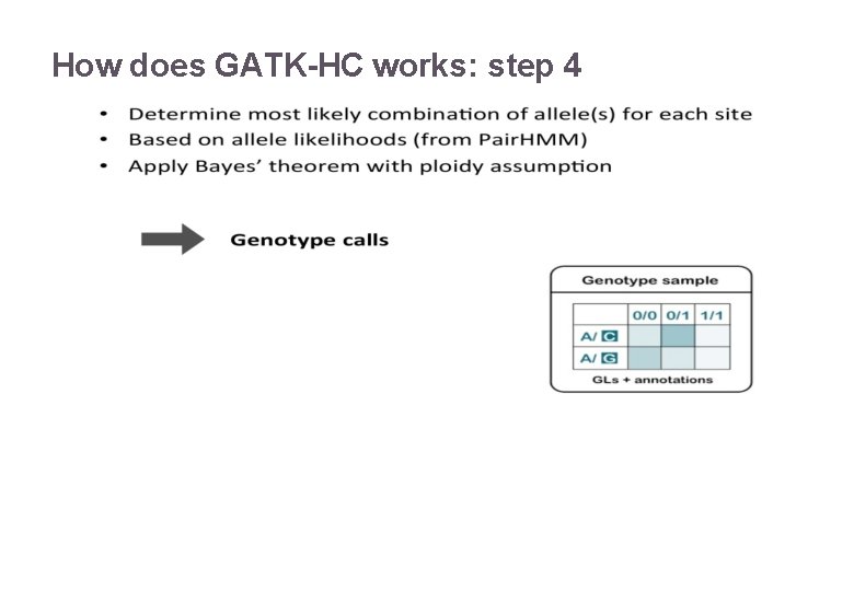 How does GATK-HC works: step 4 22/11/2016 Variant Calling – Yannick Boursin 22 