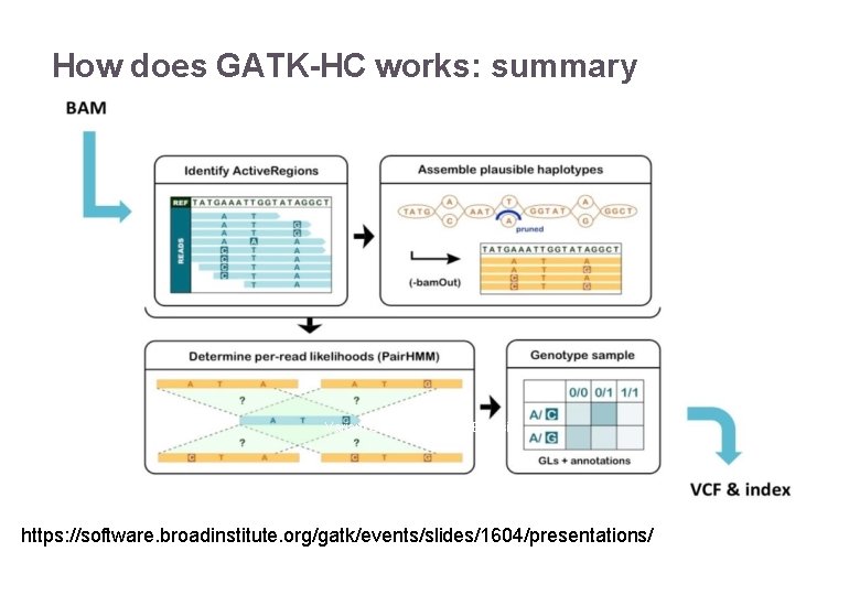How does GATK-HC works: summary 22/11/2016 Variant Calling – Yannick Boursin https: //software. broadinstitute.