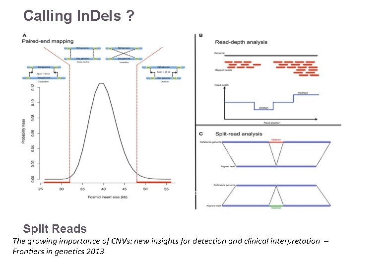 Calling In. Dels ? Read depth Reference: ATTACGAGACATTACG Read pairs 22/11/2016 Split Reads Variant