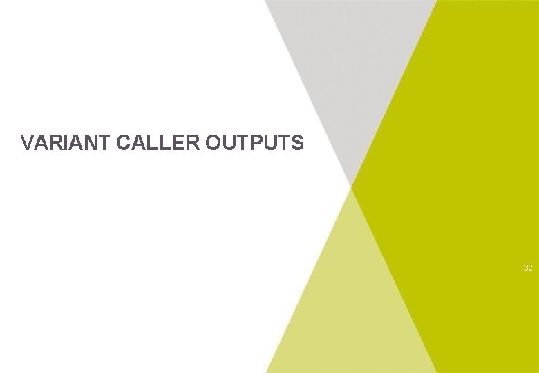 VARIANT CALLER OUTPUTS 32 