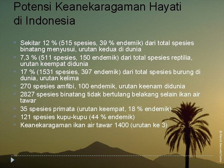 Potensi Keanekaragaman Hayati di Indonesia Sekitar 12 % (515 spesies, 39 % endemik) dari