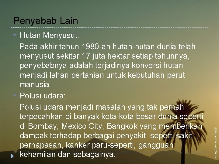 Penyebab Lain Hutan Menyusut: Pada akhir tahun 1980 -an hutan-hutan dunia telah menyusut sekitar