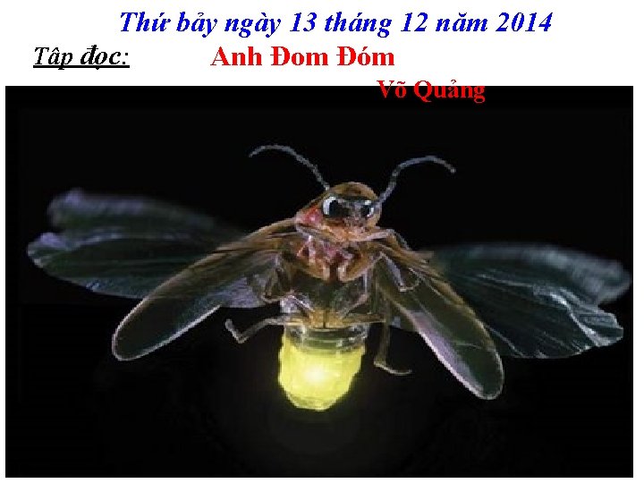 Thứ bảy ngày 13 tháng 12 năm 2014 Tập đọc: Anh Đom Đóm Võ