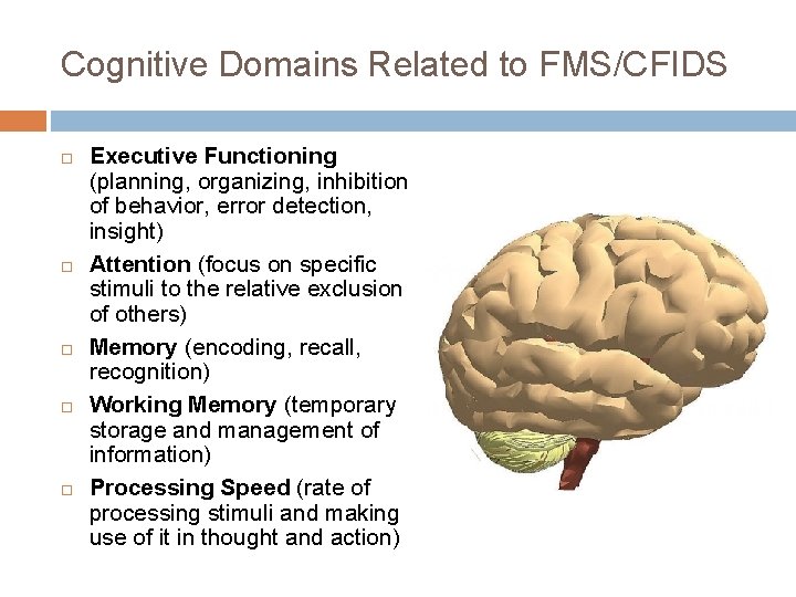 Cognitive Domains Related to FMS/CFIDS Executive Functioning (planning, organizing, inhibition of behavior, error detection,