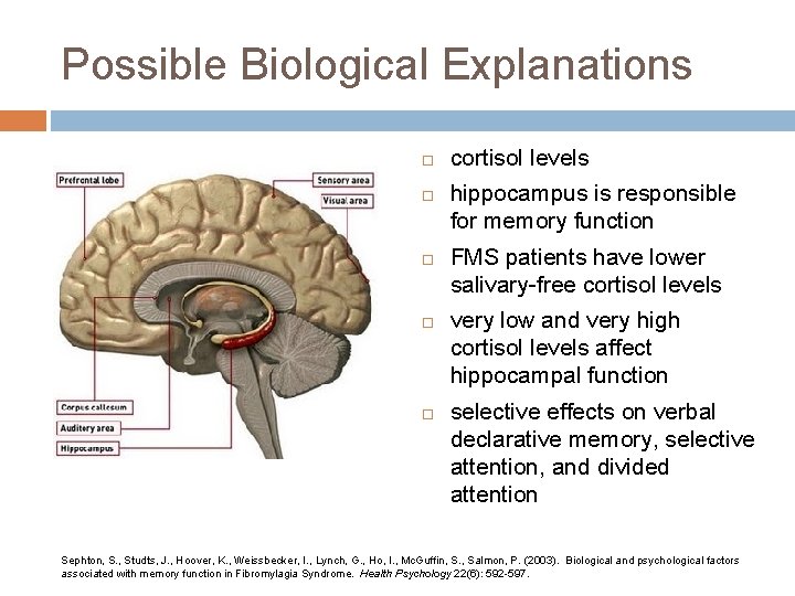 Possible Biological Explanations cortisol levels hippocampus is responsible for memory function FMS patients have