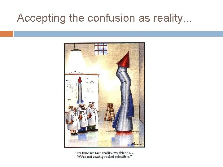 Accepting the confusion as reality. . . 