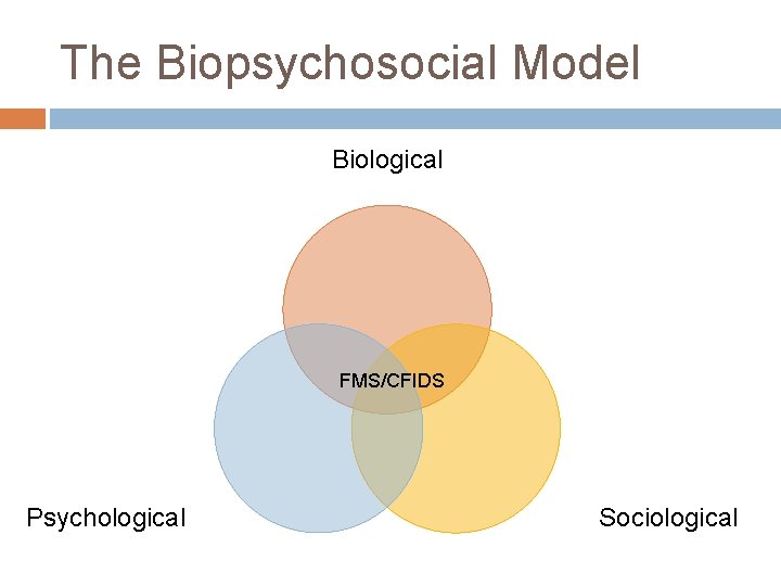 The Biopsychosocial Model Biological FMS/CFIDS Psychological Sociological 