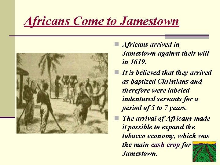 Africans Come to Jamestown n Africans arrived in Jamestown against their will in 1619.