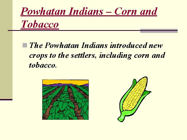 Powhatan Indians – Corn and Tobacco n The Powhatan Indians introduced new crops to