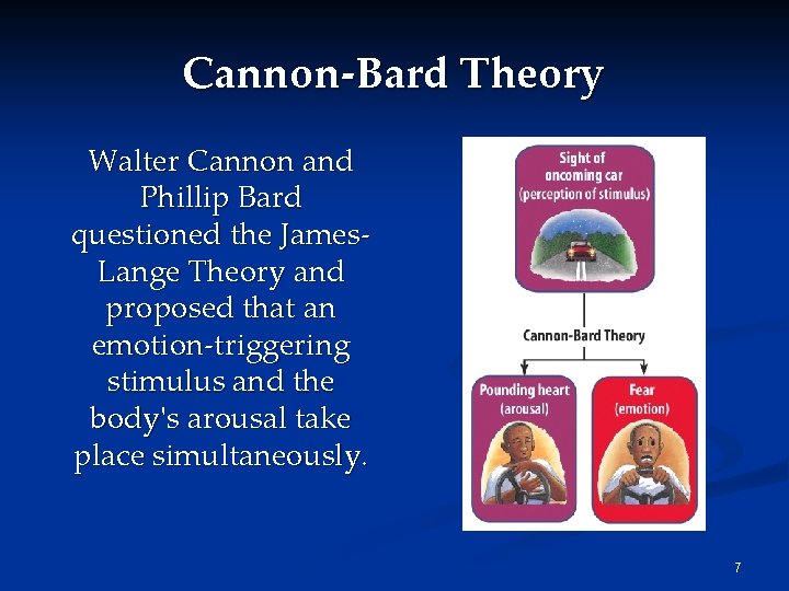 Cannon-Bard Theory Walter Cannon and Phillip Bard questioned the James. Lange Theory and proposed