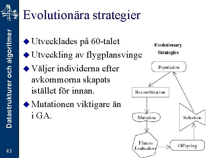 Datastrukturer och algoritmer Evolutionära strategier 43 u Utvecklades på 60 -talet u Utveckling av