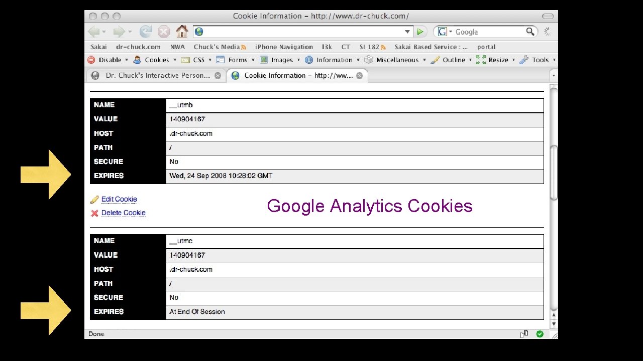 Google Analytics Cookies 
