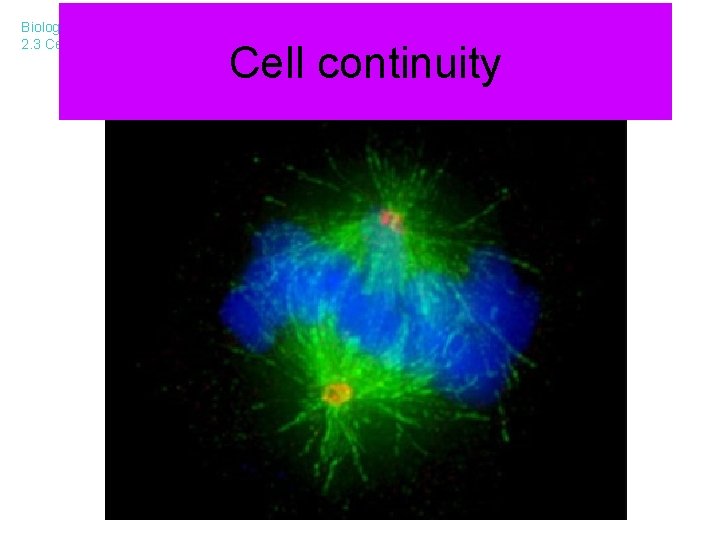 Biology Leaving Cert 2. 3 Cell continuity 