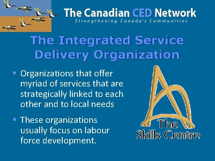 The Integrated Service Delivery Organization § Organizations that offer myriad of services that are
