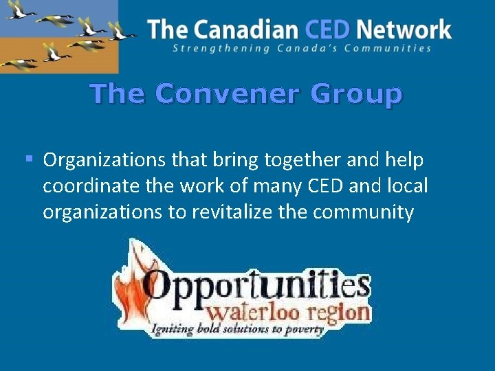 The Convener Group § Organizations that bring together and help coordinate the work of
