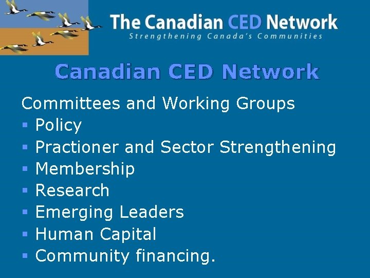Canadian CED Network Committees and Working Groups § Policy § Practioner and Sector Strengthening