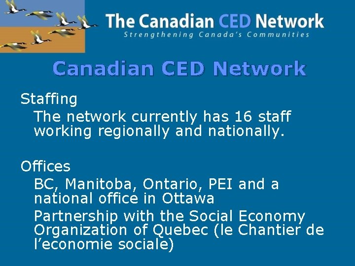 Canadian CED Network Staffing The network currently has 16 staff working regionally and nationally.