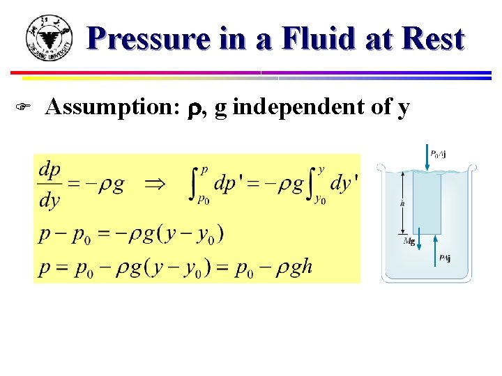 Pressure in a Fluid at Rest F Assumption: , g independent of y 