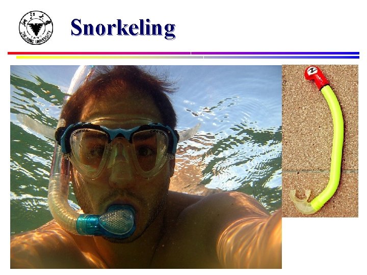 Snorkeling 