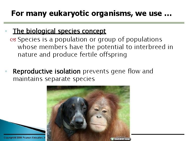 For many eukaryotic organisms, we use … ◦ The biological species concept Species is