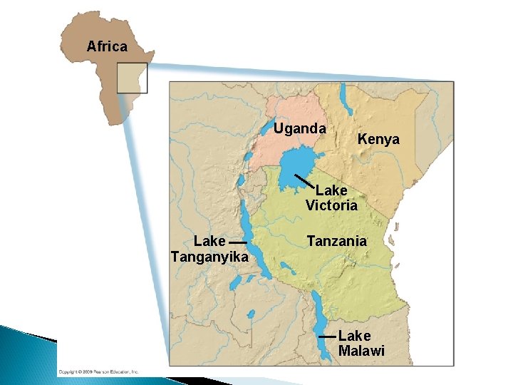 Africa Uganda Kenya Lake Victoria Lake Tanganyika Tanzania Lake Malawi 