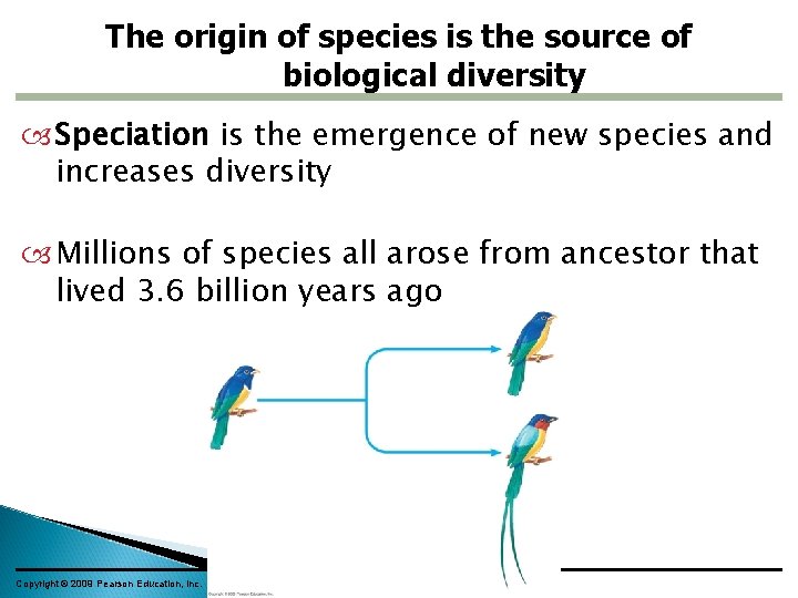 The origin of species is the source of biological diversity Speciation is the emergence