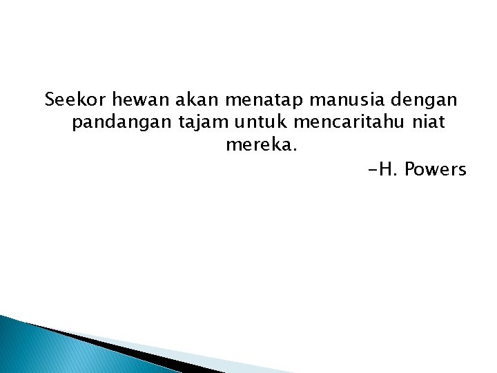 Seekor hewan akan menatap manusia dengan pandangan tajam untuk mencaritahu niat mereka. -H. Powers