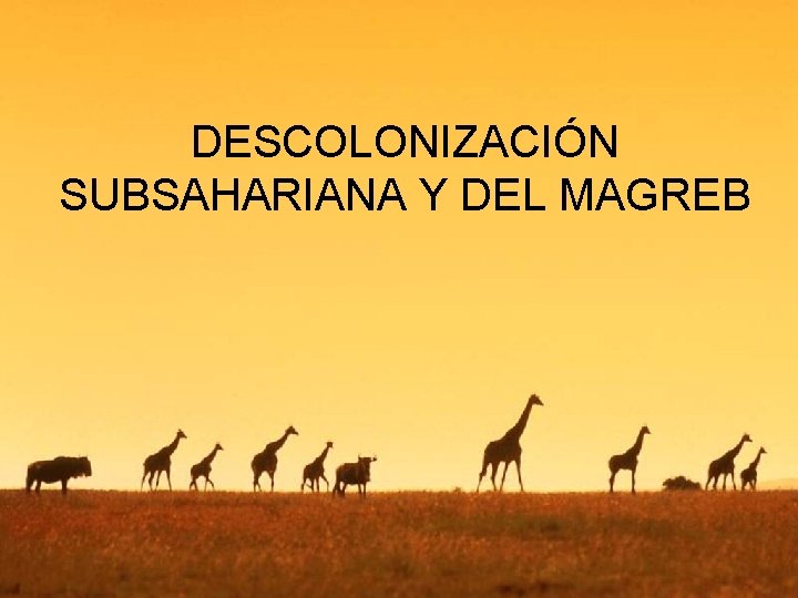 DESCOLONIZACIÓN SUBSAHARIANA Y DEL MAGREB 