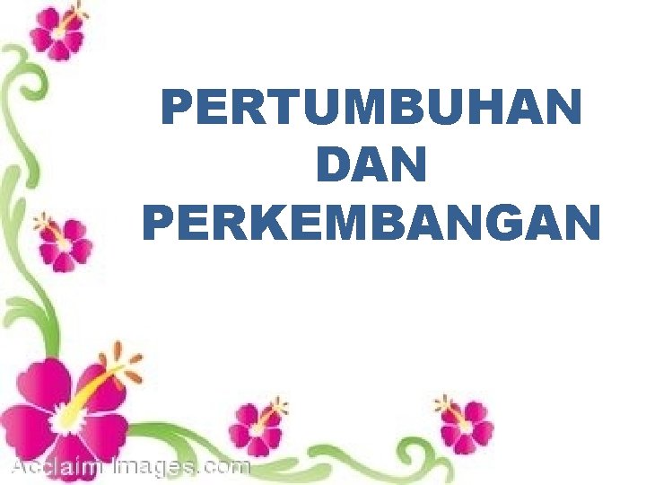 PERTUMBUHAN DAN PERKEMBANGAN 