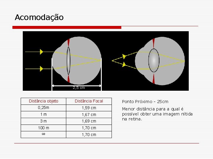 Acomodação 2, 5 cm Distância objeto Distância Focal 0, 25 m 1, 59 cm