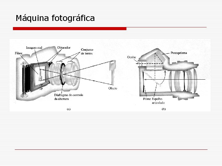 Máquina fotográfica 