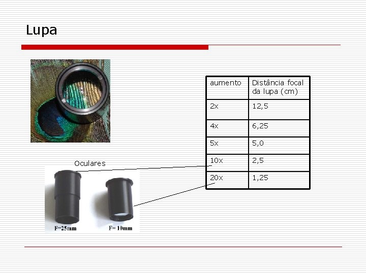 Lupa Oculares aumento Distância focal da lupa (cm) 2 x 12, 5 4 x