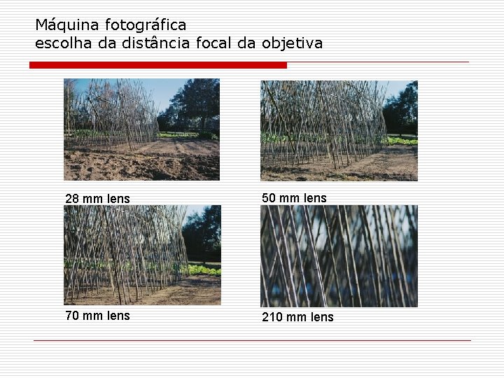 Máquina fotográfica escolha da distância focal da objetiva 28 mm lens 50 mm lens