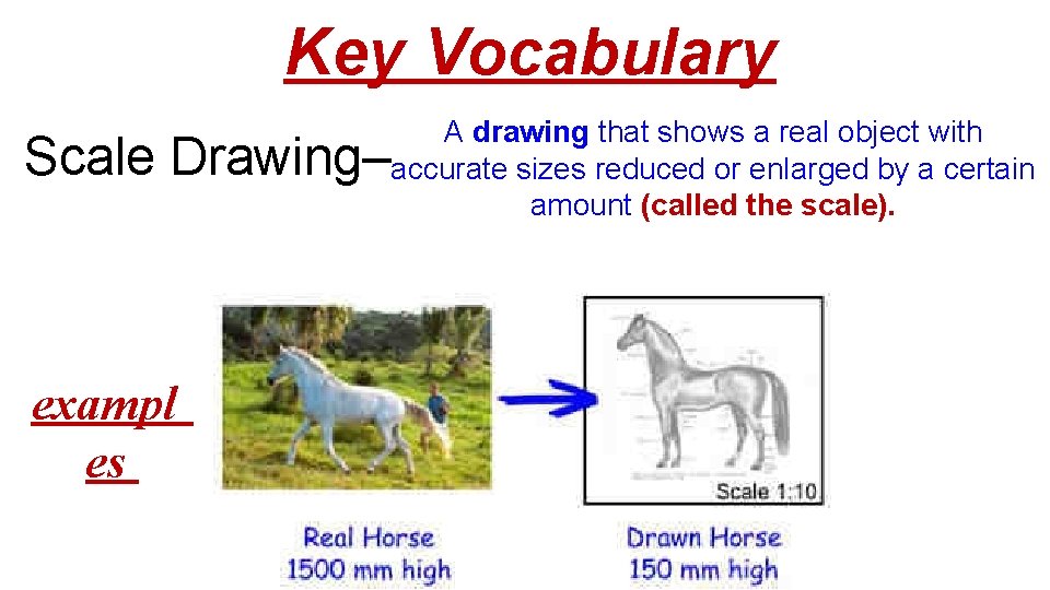 Key Vocabulary A drawing that shows a real object with accurate sizes reduced or