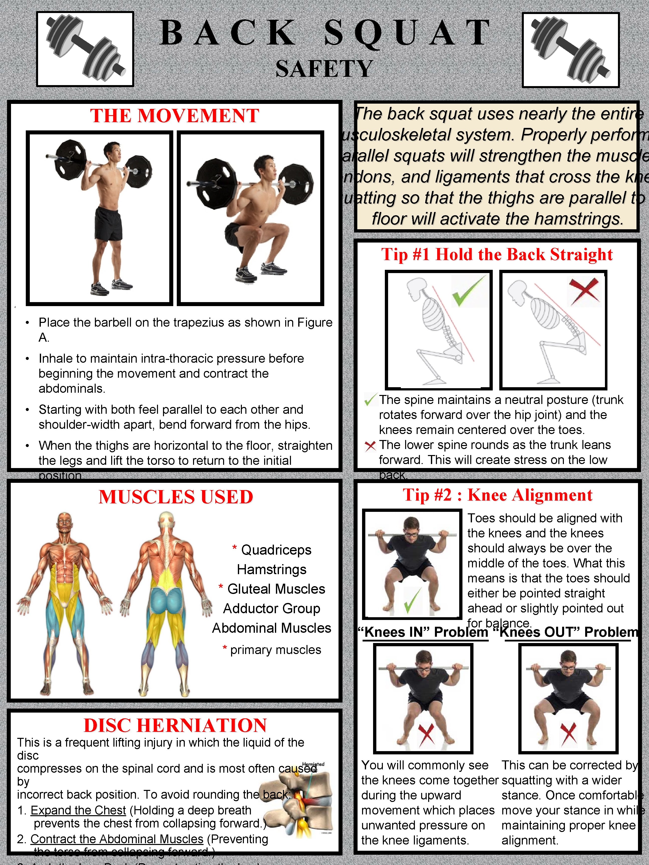 BACK SQUAT SAFETY THE MOVEMENT The back squat uses nearly the entire musculoskeletal system.