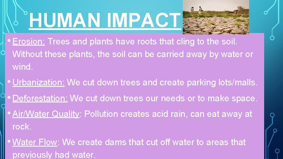 HUMAN IMPACT • Erosion: Trees and plants have roots that cling to the soil.