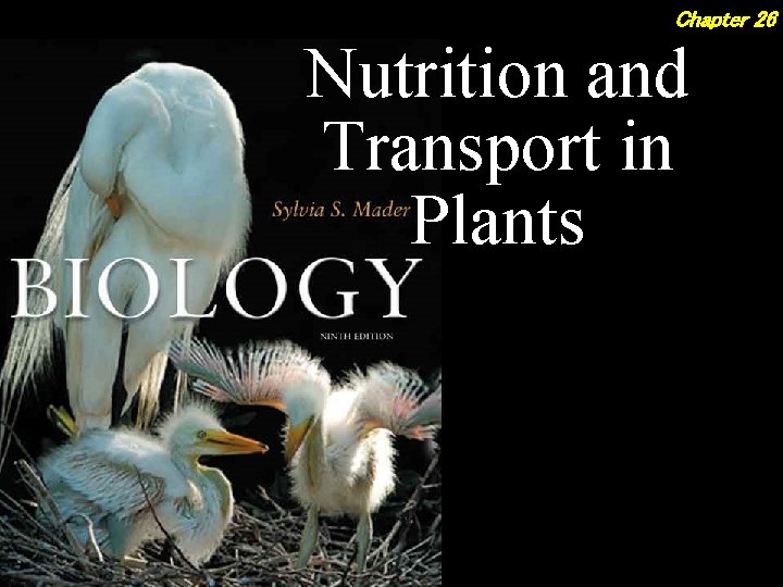 Chapter 26 Nutrition and Transport in Plants Chapter 26 Nutrition and Transport in Plants