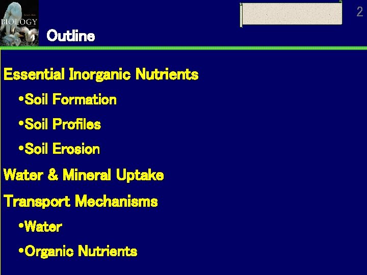 2 Outline Essential Inorganic Nutrients Soil Formation Soil Profiles Soil Erosion Water & Mineral 2 Outline Essential Inorganic Nutrients Soil Formation Soil Profiles Soil Erosion Water & Mineral