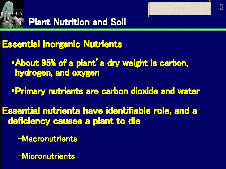 3 Plant Nutrition and Soil Essential Inorganic Nutrients About 95% of a plant’s dry 3 Plant Nutrition and Soil Essential Inorganic Nutrients About 95% of a plant’s dry