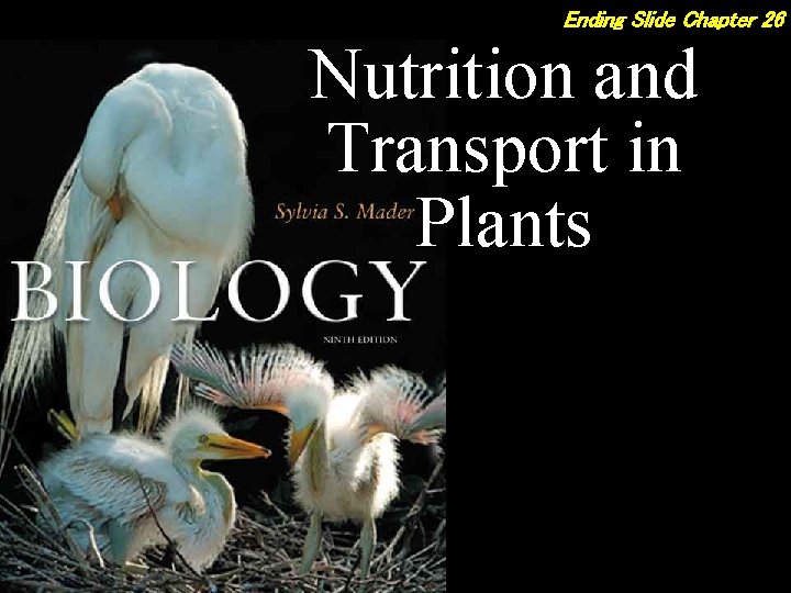 Ending Slide Chapter 26 Nutrition and Transport in Plants Ending Slide Chapter 26 Nutrition and Transport in Plants