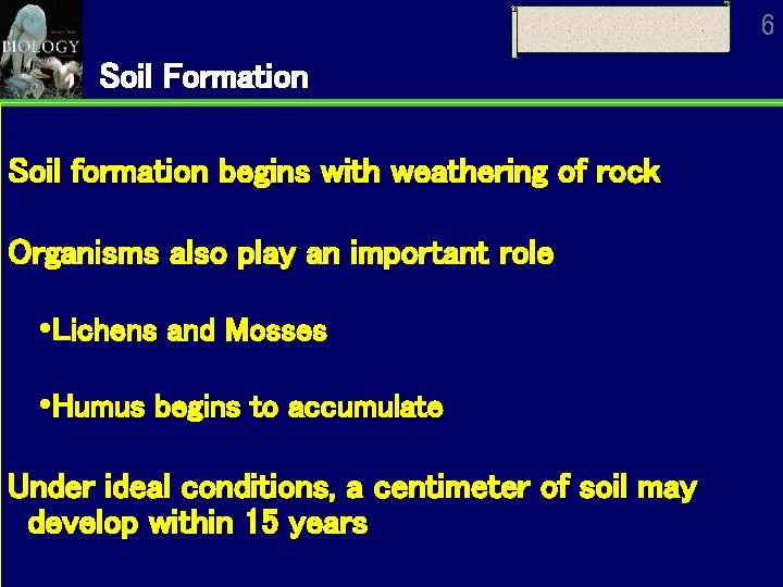 6 Soil Formation Soil formation begins with weathering of rock Organisms also play an 6 Soil Formation Soil formation begins with weathering of rock Organisms also play an