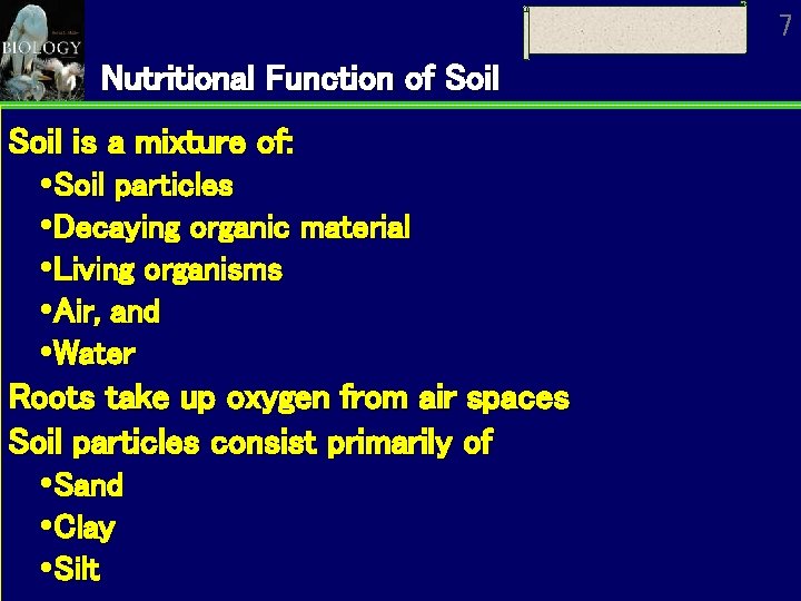 7 Nutritional Function of Soil is a mixture of: Soil particles Decaying organic material 7 Nutritional Function of Soil is a mixture of: Soil particles Decaying organic material