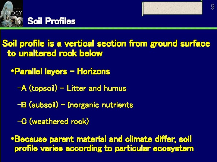 9 Soil Profiles Soil profile is a vertical section from ground surface to unaltered 9 Soil Profiles Soil profile is a vertical section from ground surface to unaltered
