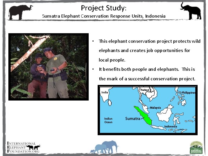 Project Study: Sumatra Elephant Conservation Response Units, Indonesia • This elephant conservation project protects