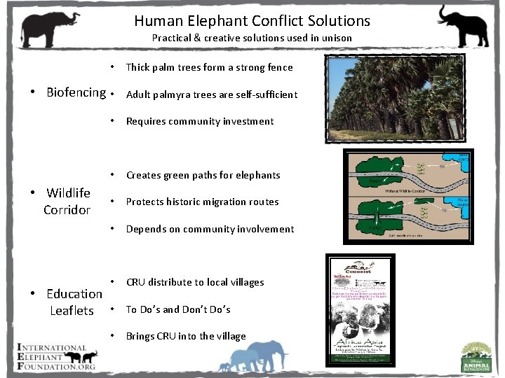 Human Elephant Conflict Solutions Practical & creative solutions used in unison • • Biofencing