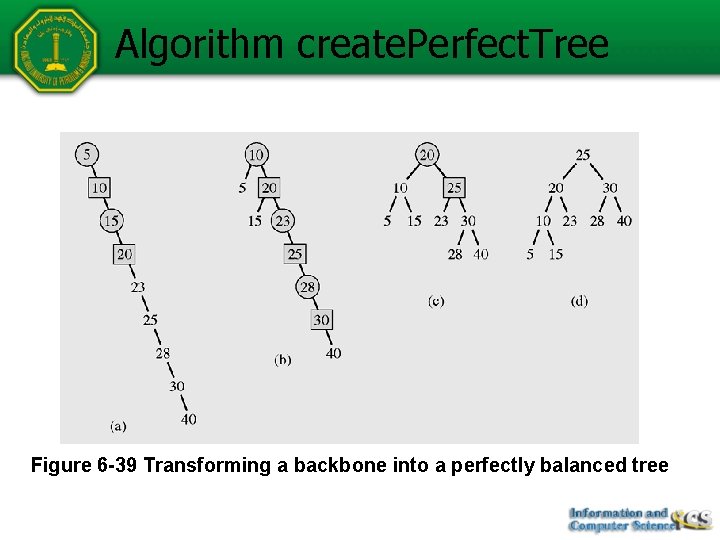 Algorithm create. Perfect. Tree Figure 6 -39 Transforming a backbone into a perfectly balanced