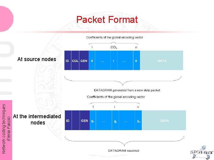 Packet Format Network coding techniques Elena Fasolo At source nodes At the intermediated nodes Packet Format Network coding techniques Elena Fasolo At source nodes At the intermediated nodes