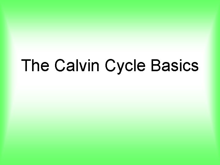 The Calvin Cycle Basics 