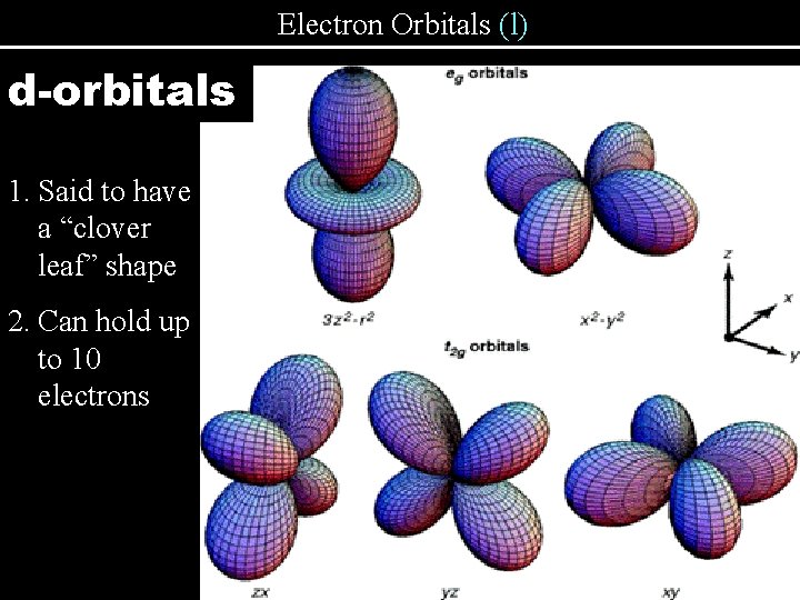 Electron Orbitals (l) d-orbitals 1. Said to have a “clover leaf” shape 2. Can